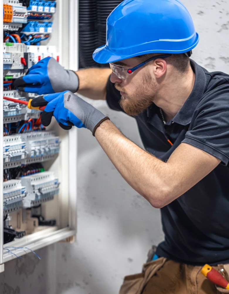 Electrical Industries IMG